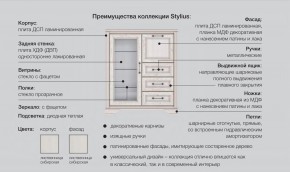 Прихожая модульная Стилиус в Нижней Салде - nizhnyaya-salda.magazinmebel.ru | фото - изображение 2